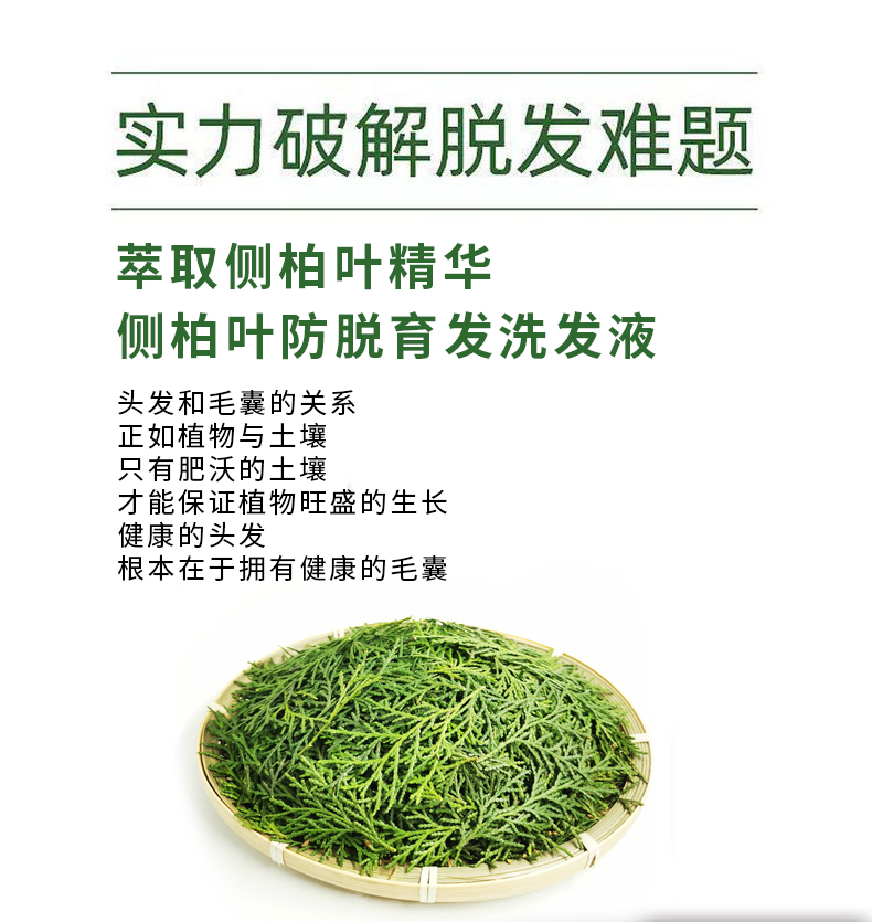 侧柏叶防脱育发液代加工详情介绍1.jpg