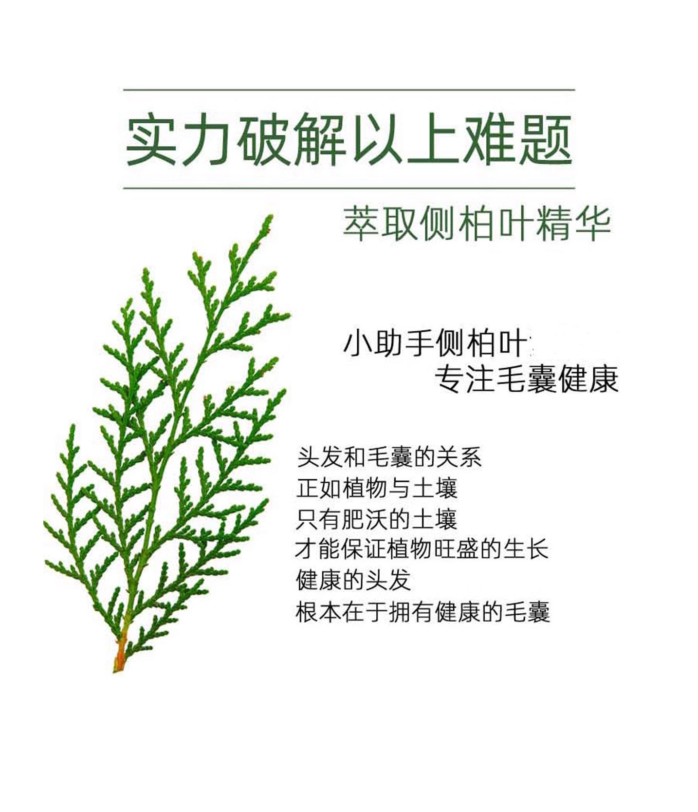 侧柏叶防脱育发液代加工详情介绍.jpg