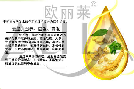 中草药健发洗发水代加工详情介绍.jpg