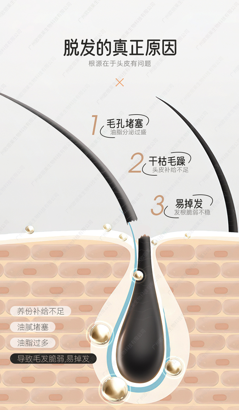 凤姜鲜萃洗发水详情_02.jpg