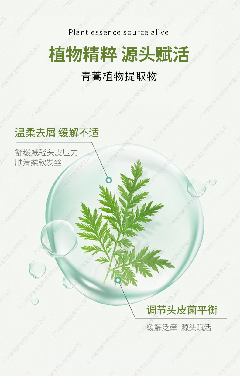 青蒿去屑柔顺洗发水代加工详情介绍2.jpg