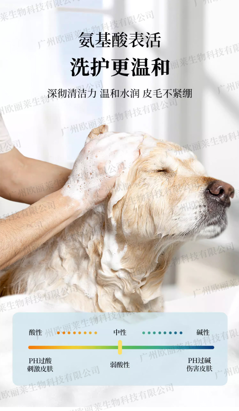 猫狗氨基酸宠物洗护生产代加工详情介绍3.jpg