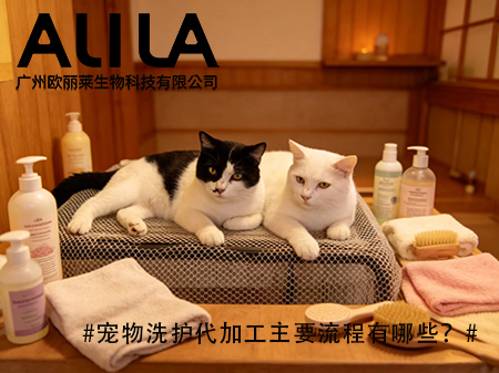 宠物洗护代加工全流程拆解：从需求到出货的9大关键环节