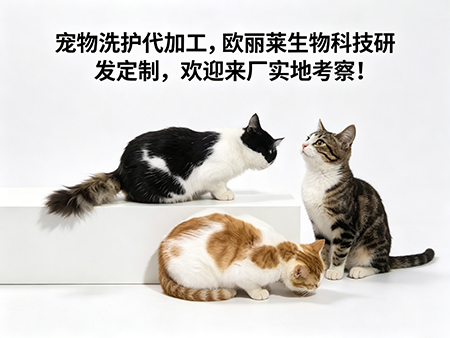 宠物洗护代加工标准有哪些核心内容.jpg