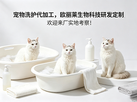 宠物洗护代加工产能怎么核算.jpg